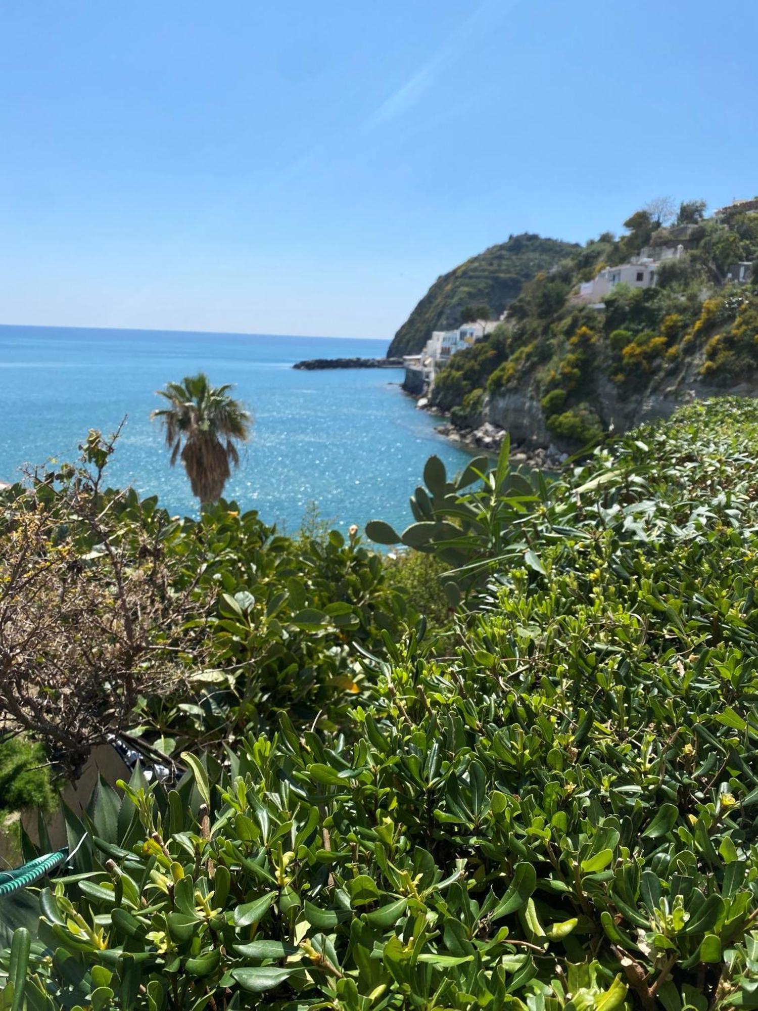 Hotel Casa Rosa Sea & Spa Sant'Angelo  외부 사진