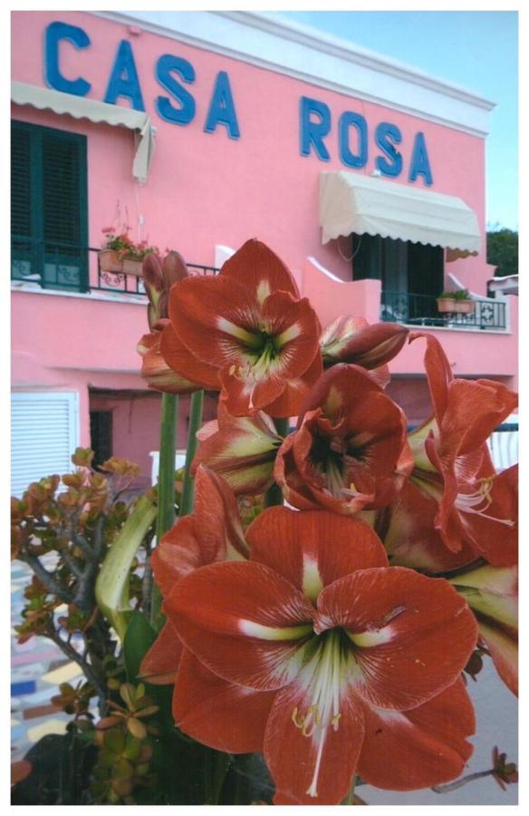 Hotel Casa Rosa Sea & Spa Sant'Angelo  외부 사진