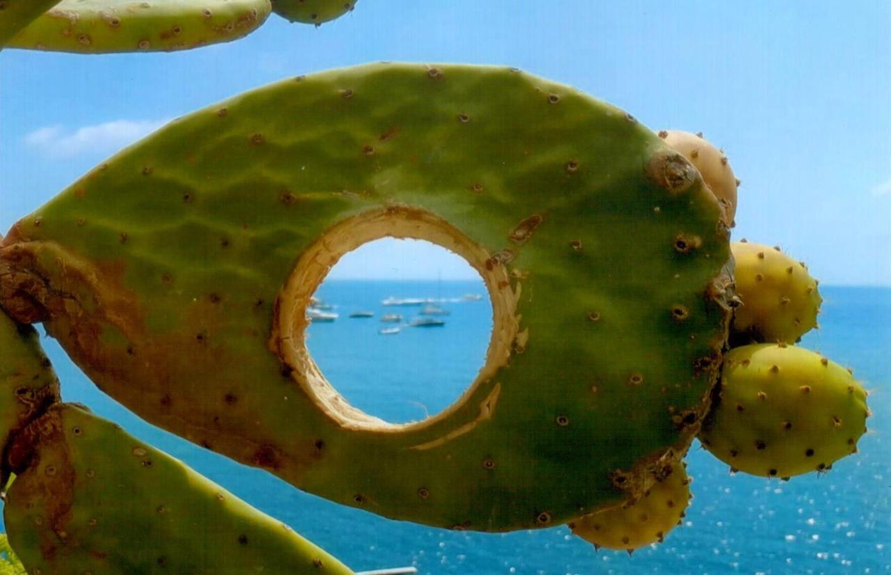 Hotel Casa Rosa Sea & Spa Sant'Angelo  외부 사진